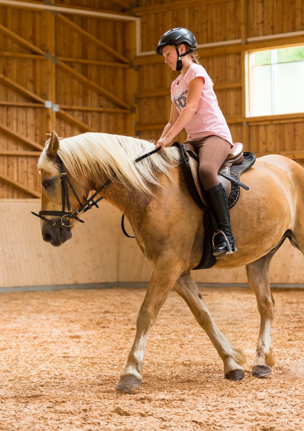 Riding on the lunge