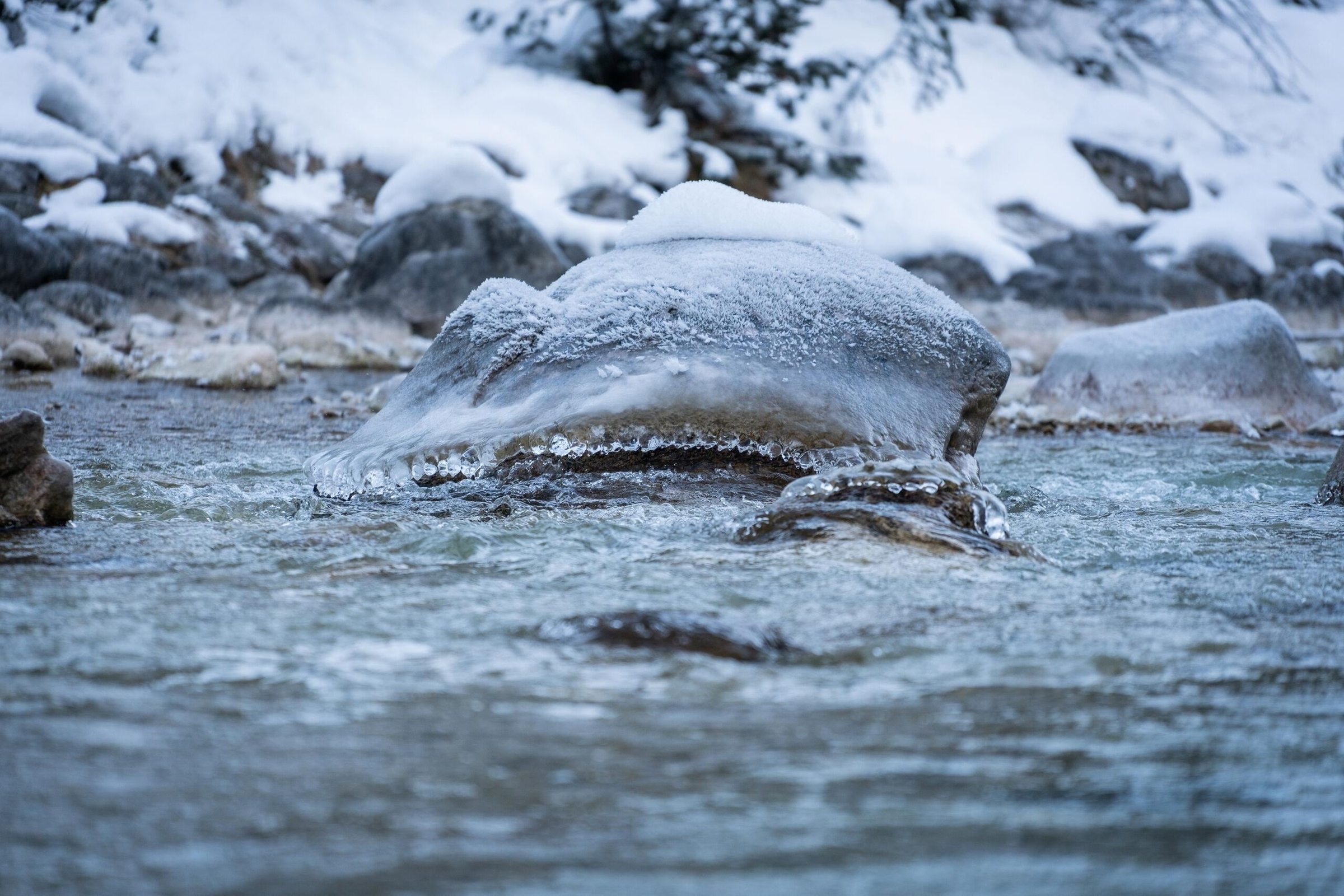 Ice bathing on the Isar