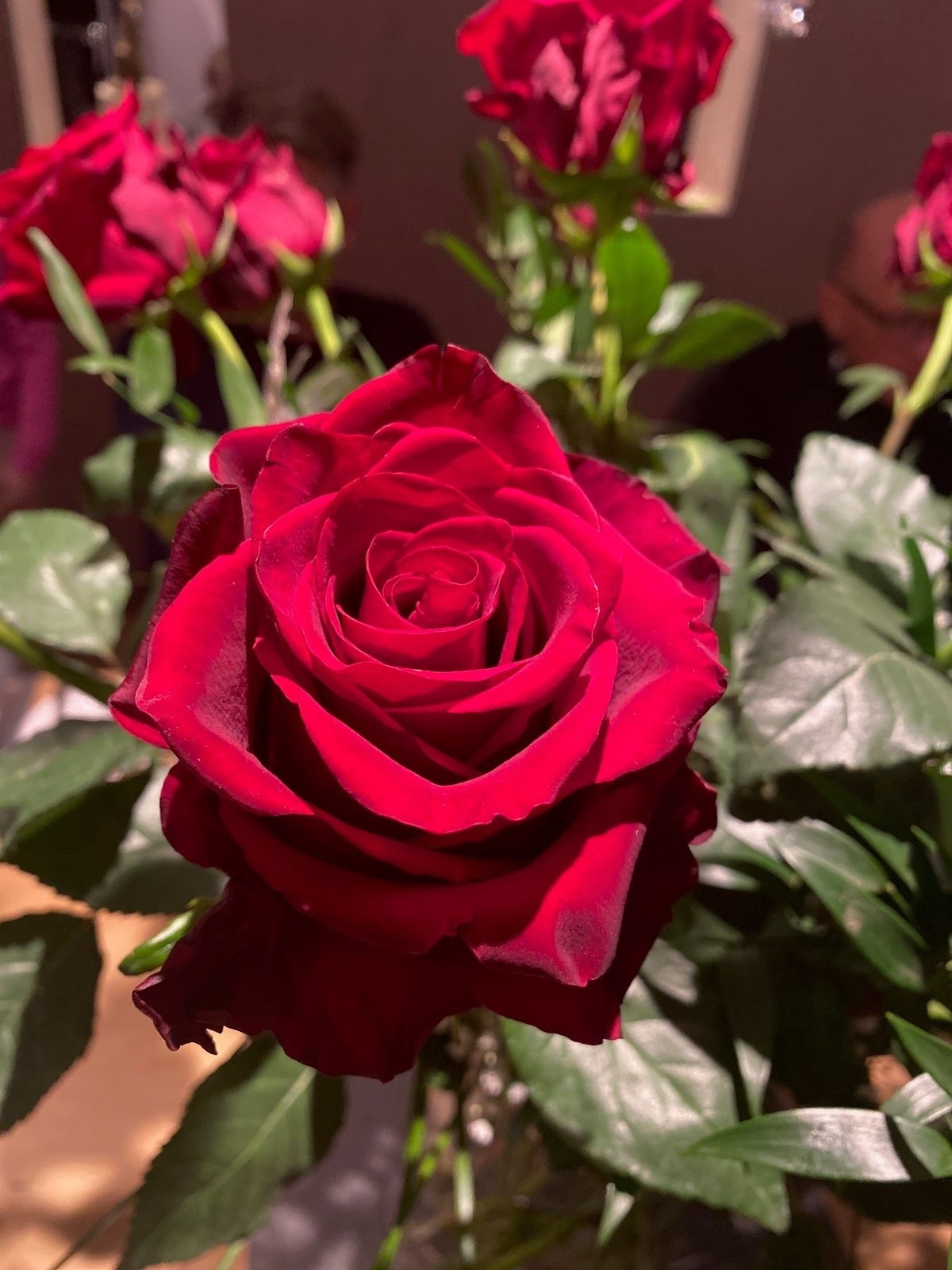 AMORE a sorpresa