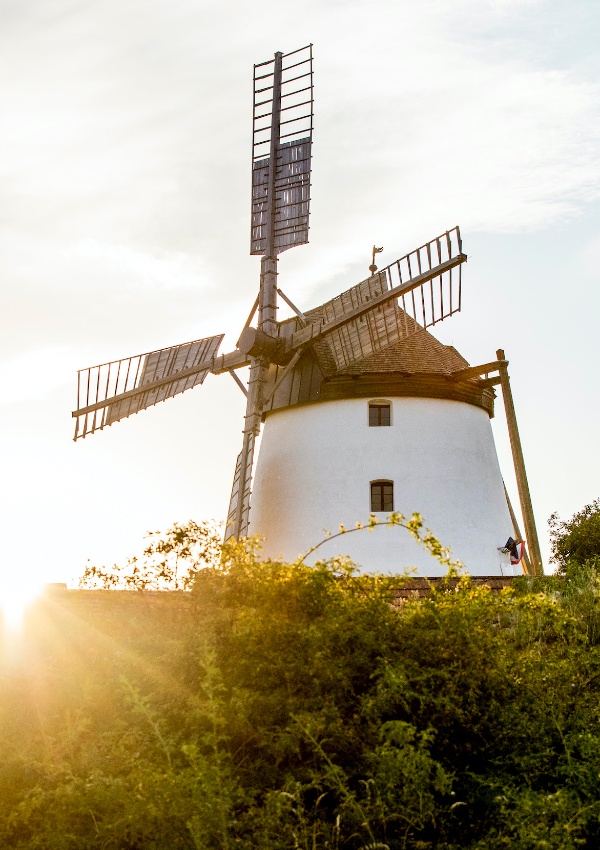 Tradition and pleasure. Bread baking - Retzer windmill