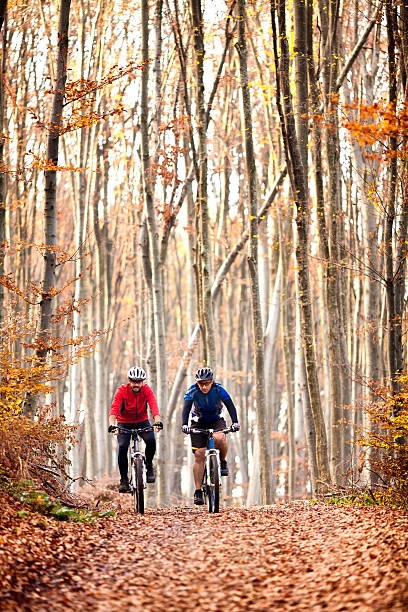 Radfahren im Biosphärenreservats Schorfheide-Chorin image