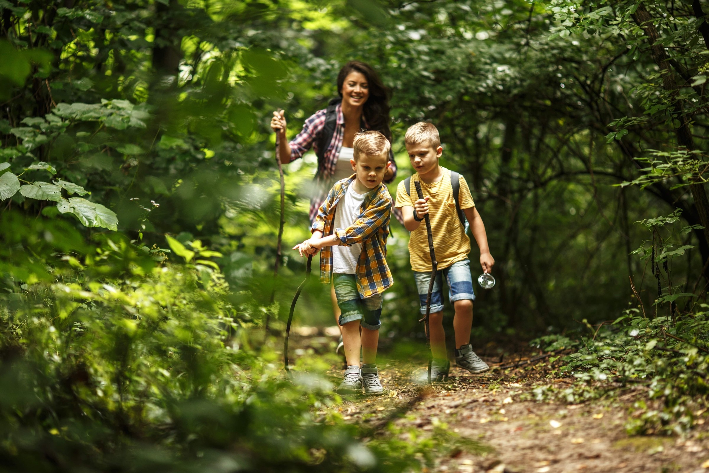 Bike & Hike Stegersbach