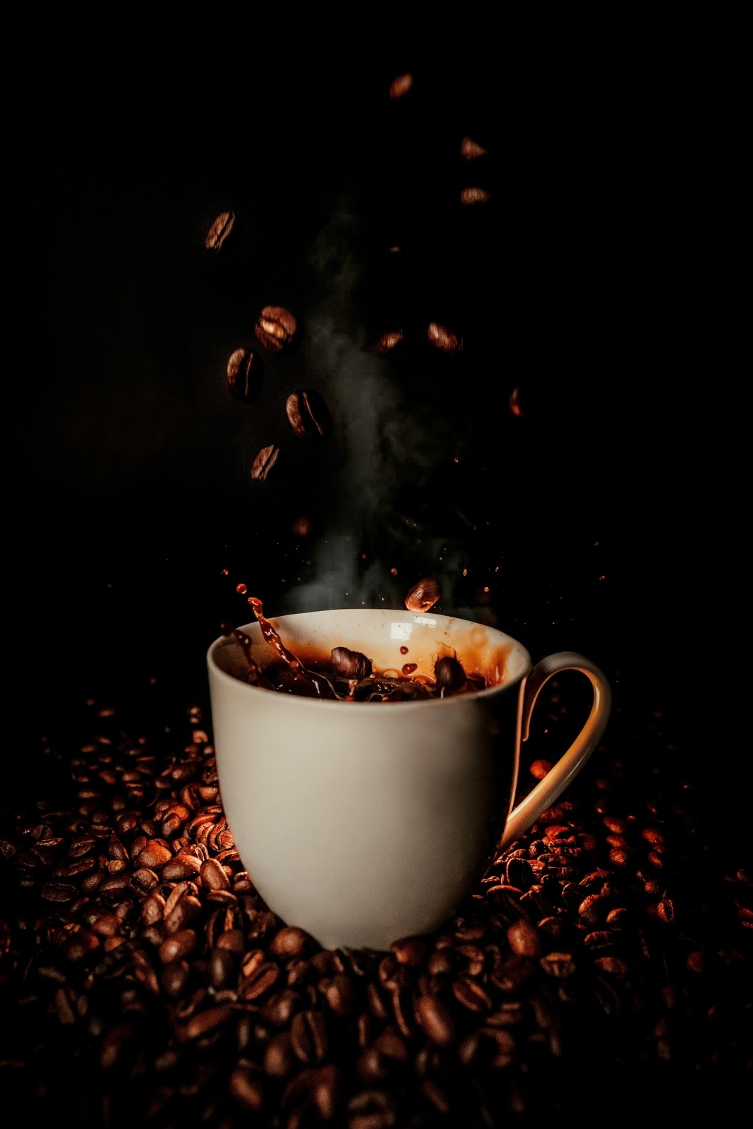 COFFEE ROASTING COURSE with Roland