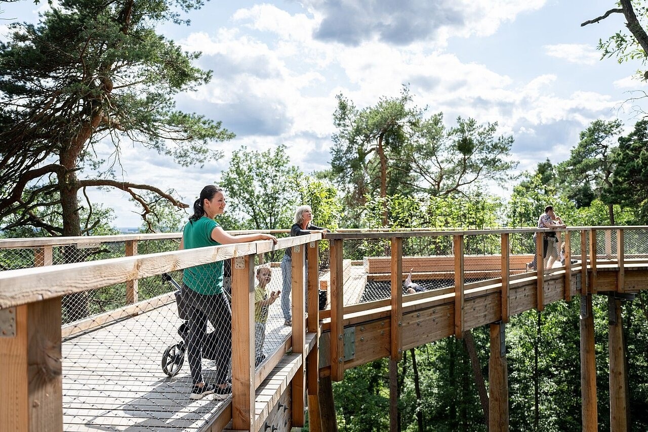 Guided tours on the climate forest trail