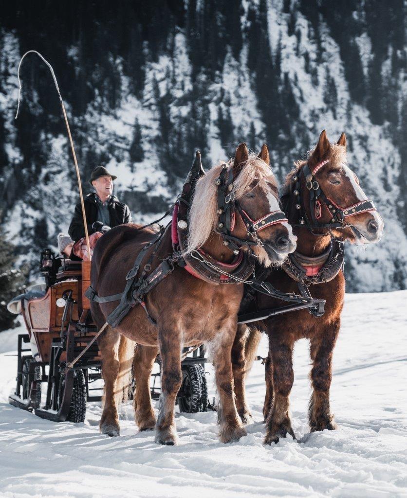 Kutschenfahrt mit Familie und Freunden