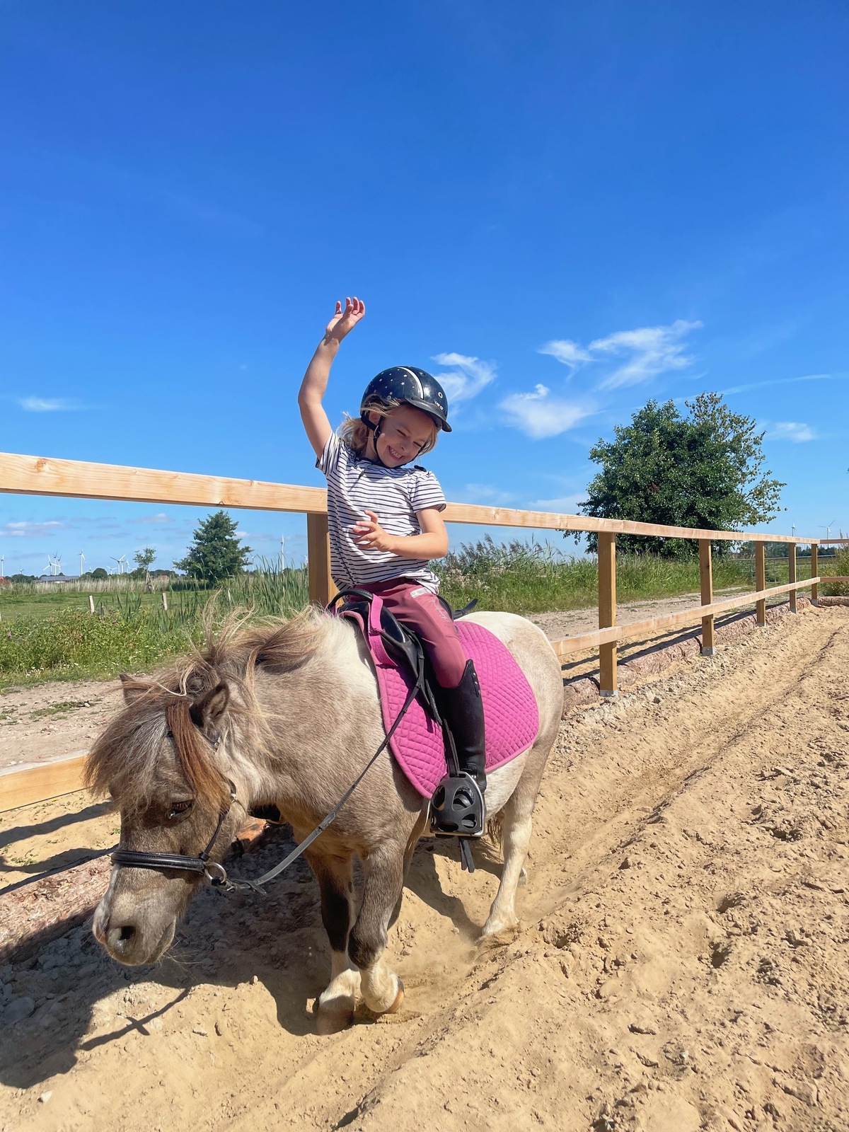 Spiel- & Reitunterricht auf dem Reitplatz
