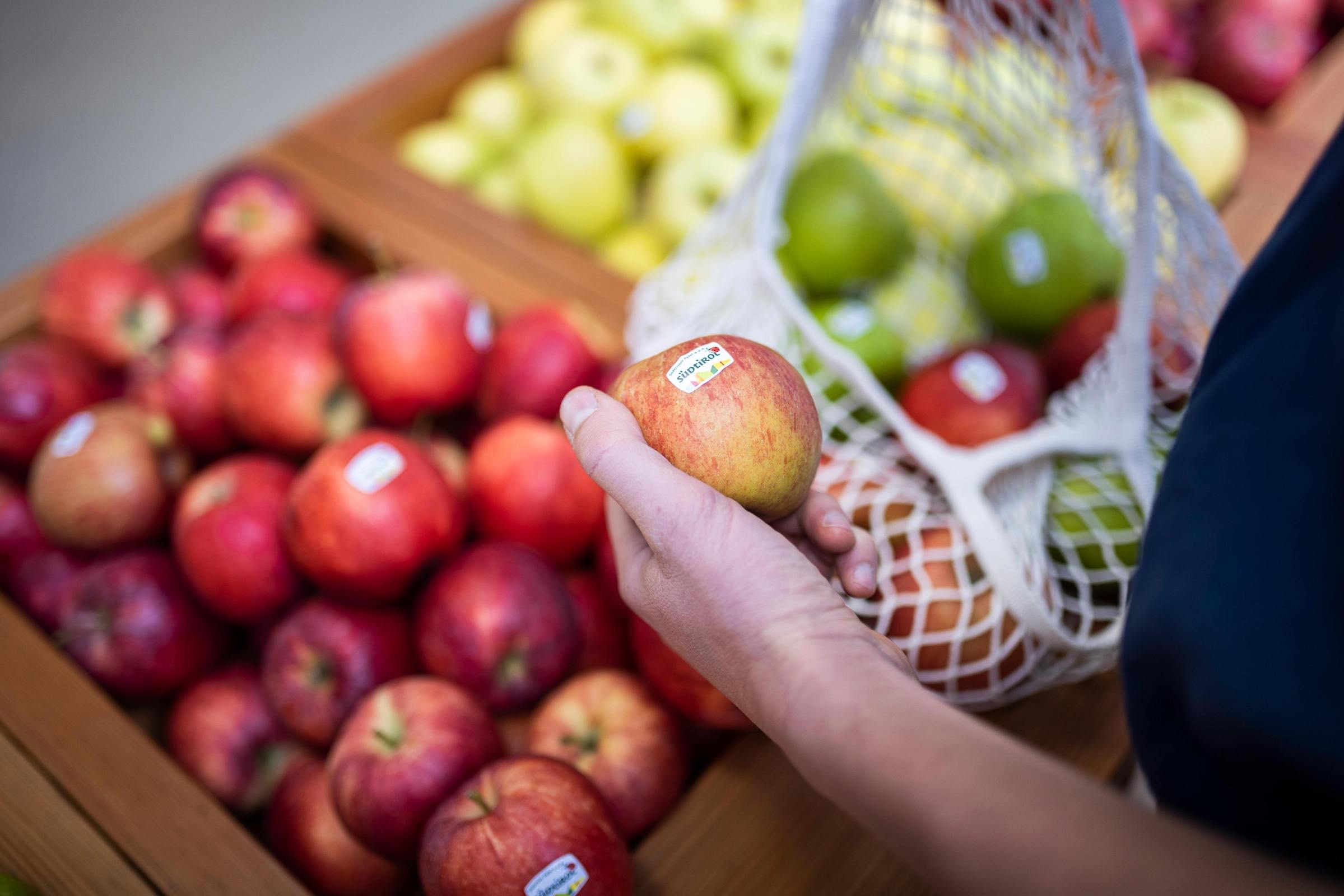 Guided tour of the MIVOR fruit cooperative