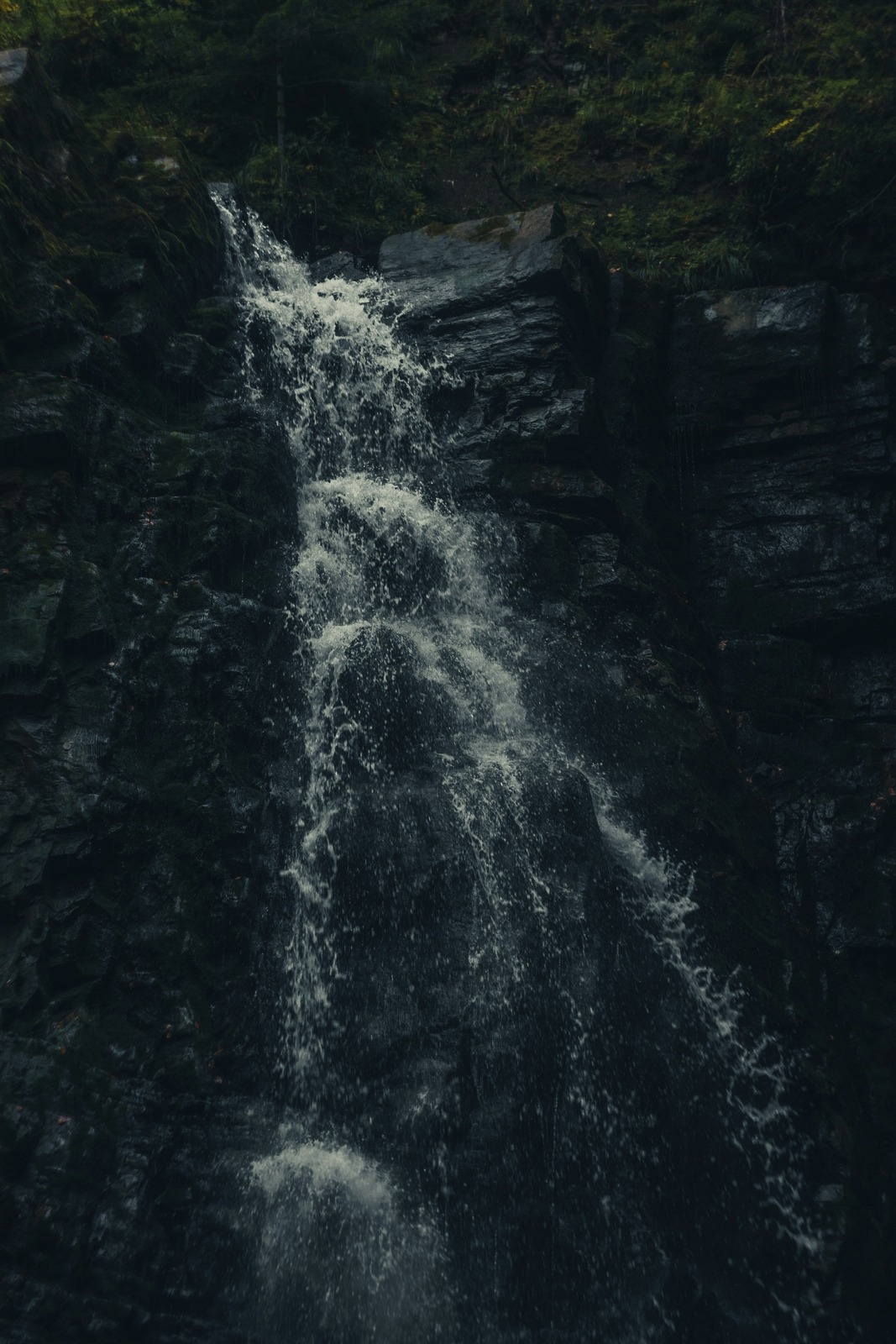 🌊 Wanderung zu den Wolfsfällen 🌊