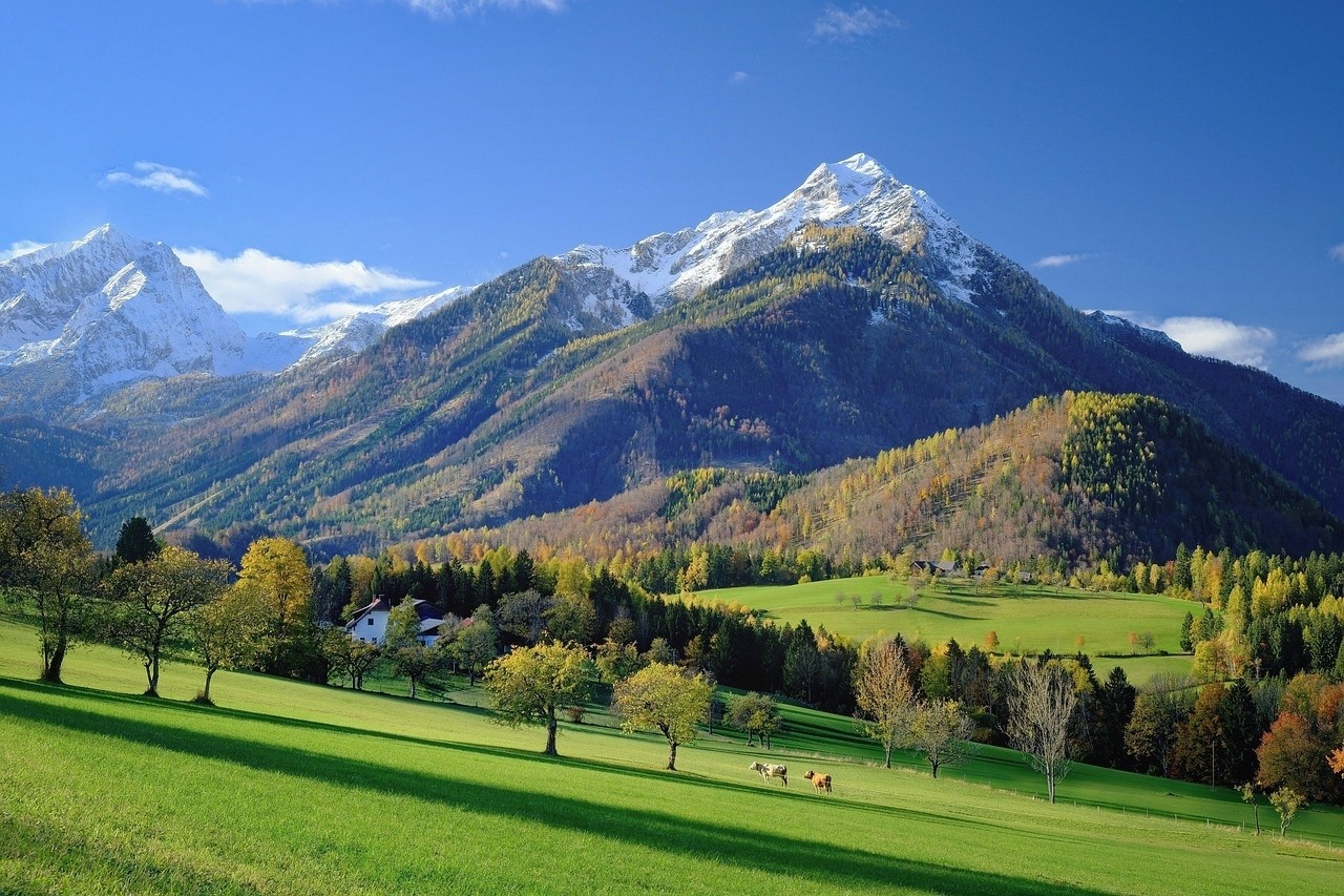 Alpbacher Höhenweg Rundwanderung