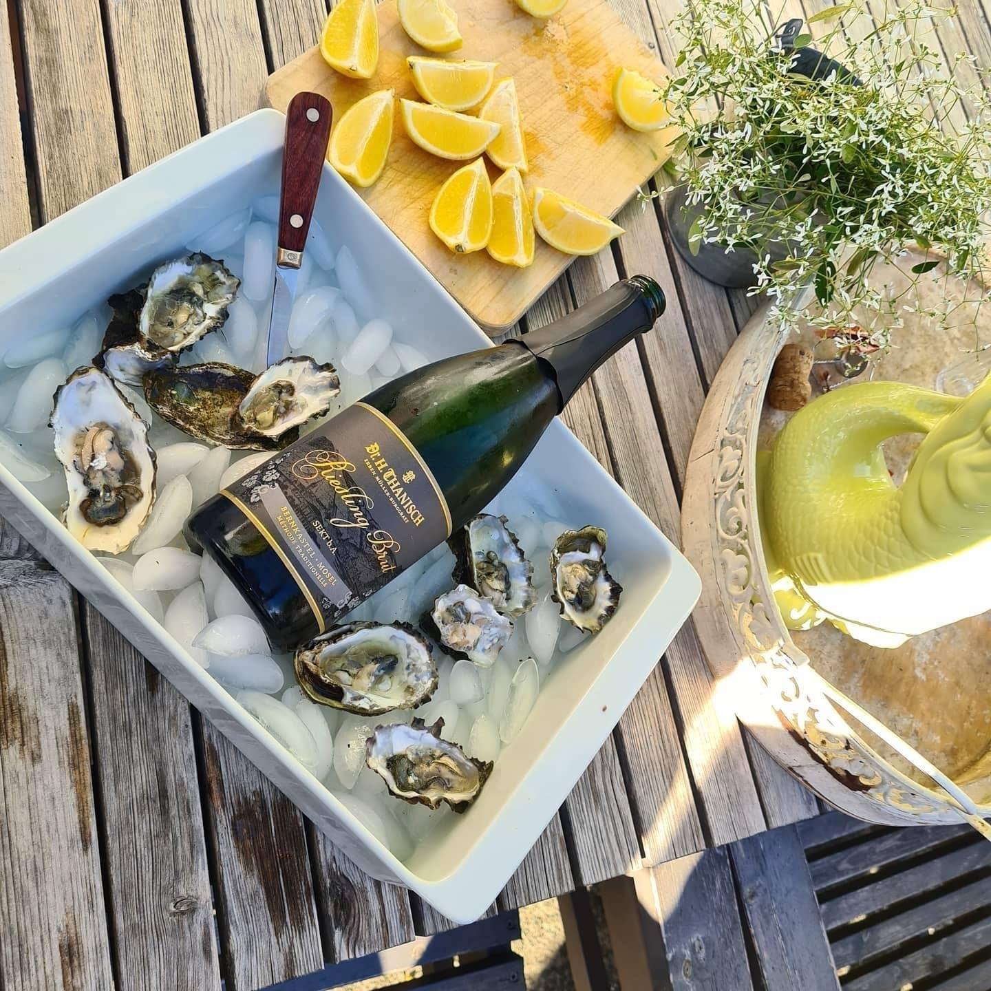 Slurp oysters