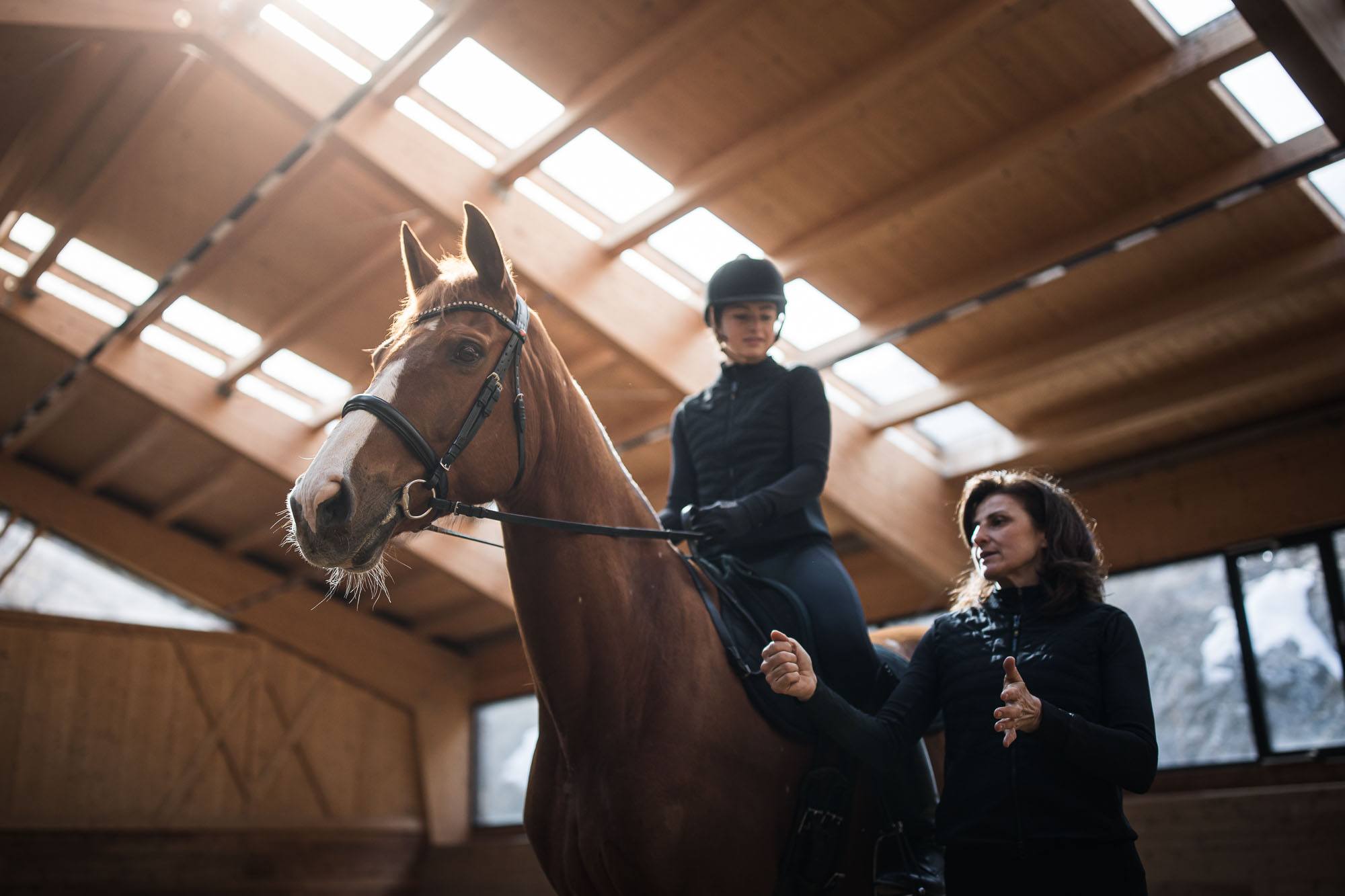 Reittraining für Erwachsene | Schnuppertag