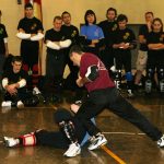 AKEA DAY 2008: IL REPORT 10