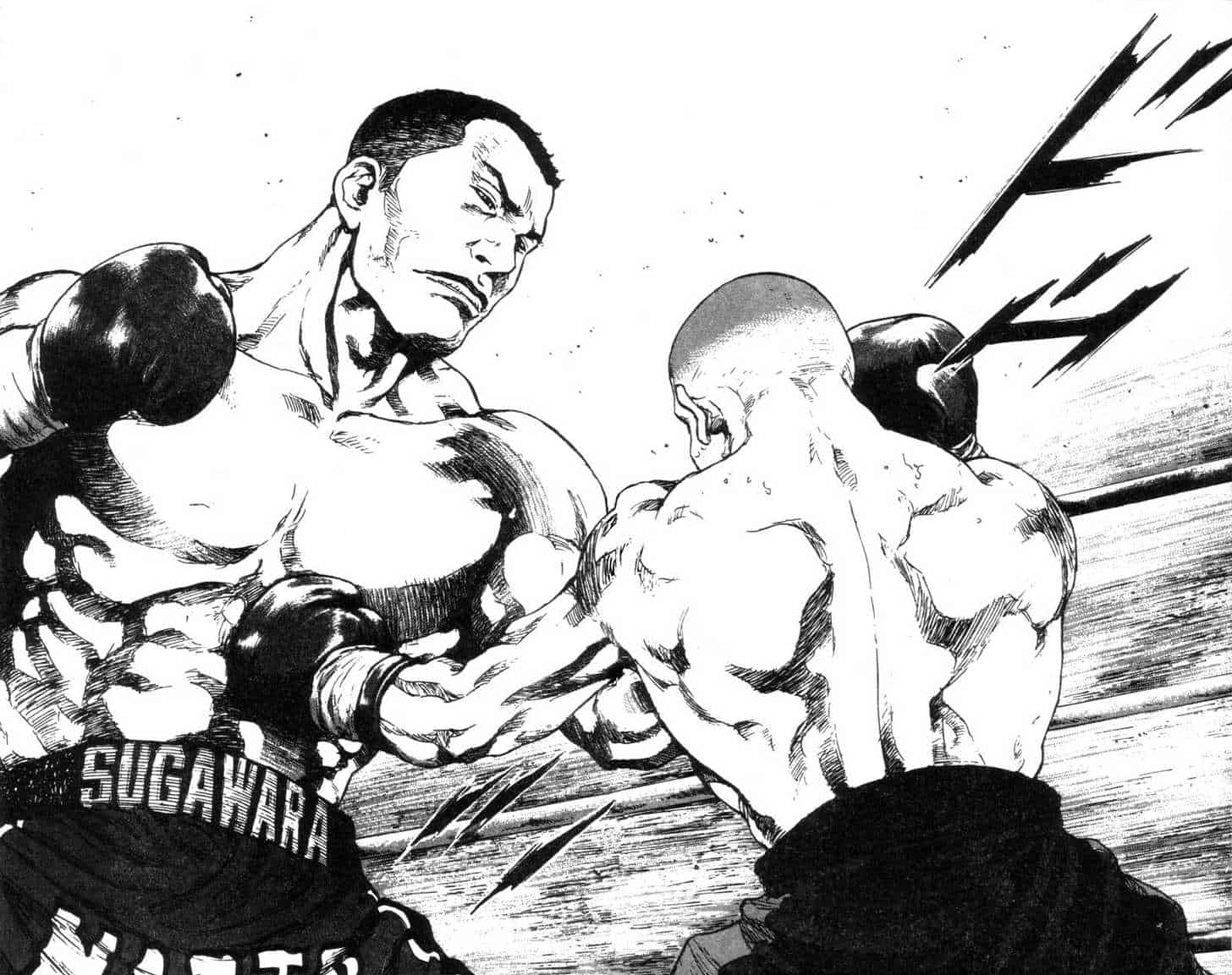 Shamo: le MMA & il Grappling 1