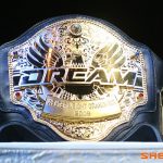 Dream & K-1 si dividono, KamiPro chiude 33