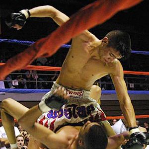 Miguel Torres capisce Fedor 11