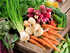 Vegetarianesimo & MMA ? 11