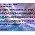 Pensiero del Mese: La parabola del macellaio 9