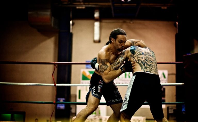 Resoconto “FIGHTER OF THE RING” - MMA a Biella 9