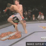 Takedown Gif Festival 15