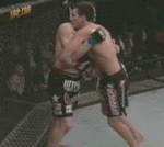 Takedown Gif Festival 2