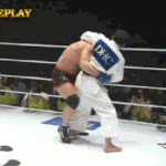 Takedown Gif Festival 3