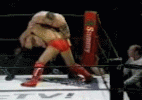 Takedown Gif Festival 4