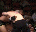 Takedown Gif Festival 14