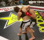 Takedown Gif Festival 11
