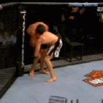 Takedown Gif Festival 19