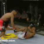 Takedown Gif Festival 23