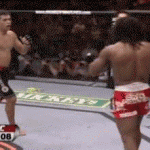 Takedown Gif Festival 26