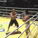 Takedown Gif Festival 27