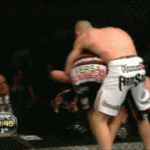 Takedown Gif Festival 37