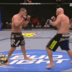 Takedown Gif Festival 49