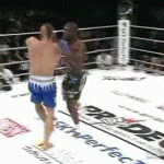 Takedown Gif Festival 20