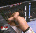 Takedown Gif Festival 21