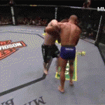 Takedown Gif Festival 22