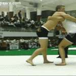 Takedown Gif Festival 28