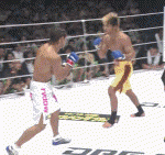 Takedown Gif Festival 31