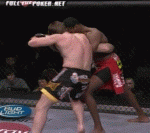 Takedown Gif Festival 33