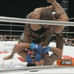 Takedown Gif Festival 35