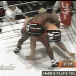 Takedown Gif Festival 36