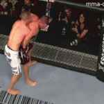 Takedown Gif Festival 38