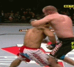 Takedown Gif Festival 39