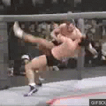 Takedown Gif Festival 41