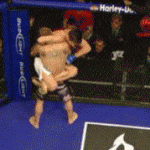 Takedown Gif Festival 42