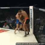 Takedown Gif Festival 43