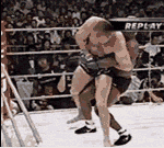 Takedown Gif Festival 44