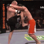 Takedown Gif Festival 45