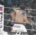 Takedown Gif Festival 47